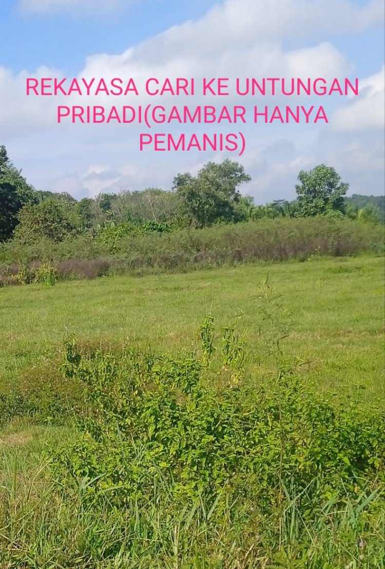Tanah Tak Bertuan Di Rekayasa Duga Atas Namakan Keluarga Dekat Kades, Rugikan Uang Negara Cari Keuntungan Pribadi