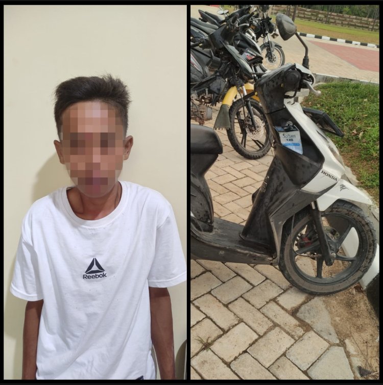 Pelaku Curas di Tulang Bawang Barat ditangkap Massa