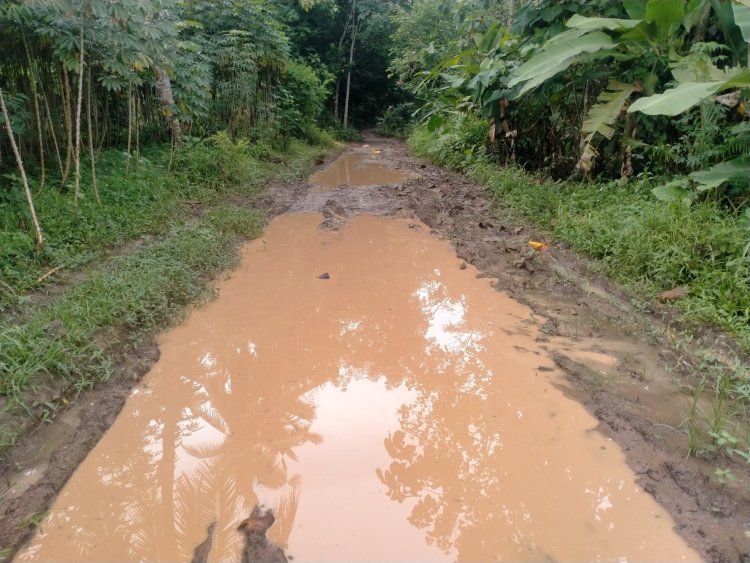 Lapor Pak Bupati!!! Jalan Penghubung Kabupaten pesawaran- Lampung Selatan Rusak Parah