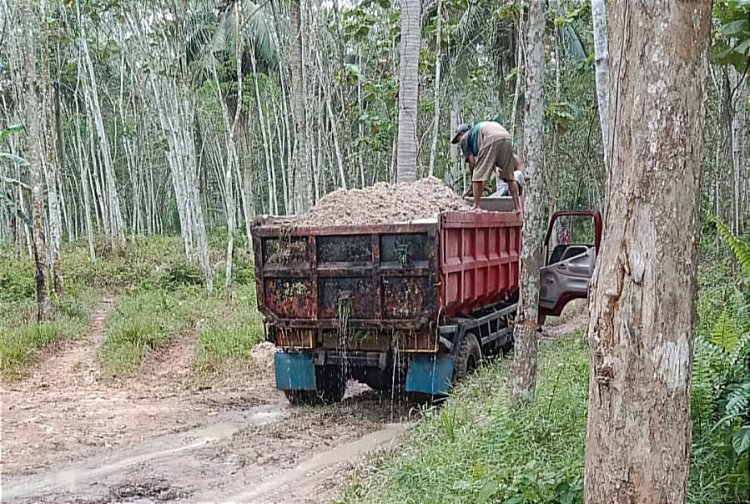 Terkesan Dibiarkan,Tambang Pasir Ilegal, Di Umbul Ripin Desa Bangun Sari Kec.Tanjung Sari Lampung Selatan