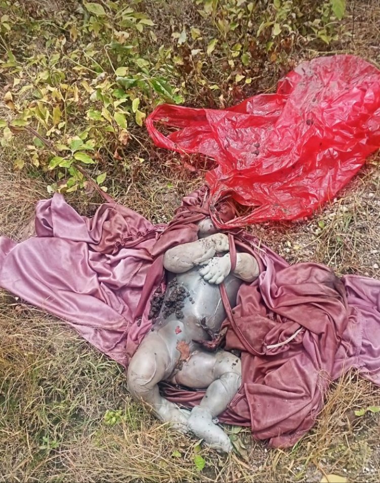 Geger !!! Penemuan Jasad Bayi, di Desa Rejosari Natar
