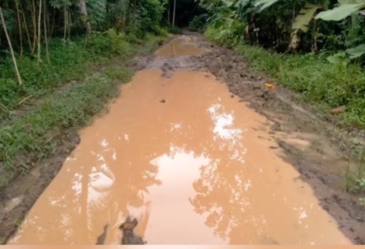 Parah!!! Jalan penghubung dua Desa, Maupun Dua Kabupaten Keadaan Rusak Parah Persis Seperti Kubangan  Lumpur