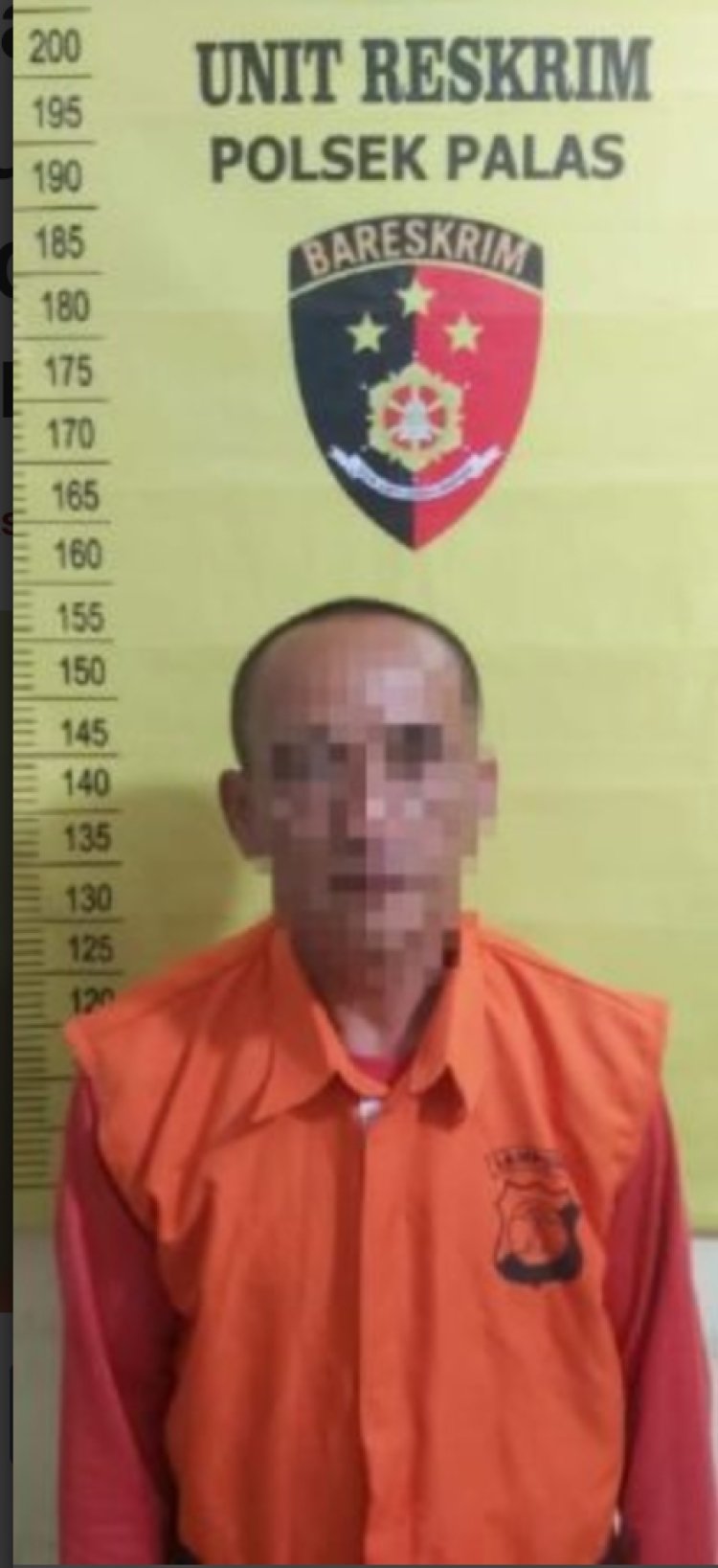Rudapaksa dibawah umur, pakde di Palas ditangkap Polisi