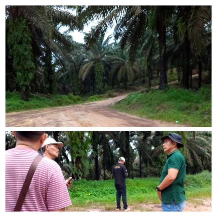 Berlarut !! Apakah KLHK Sengaja Membiarkan, Kasus Perambahan Hutan Cagar Alam Wilayah Muara Papalik