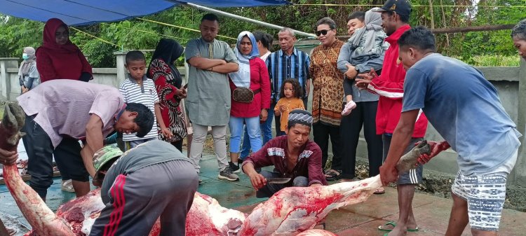 Plt Sekda Erny R. Tania dan KMB, Sumbangkan 2 Ekor Sapi, dan Hadir Saksikan  Penyembelihan Hewan Qurban di Masjid Al-Hikmah Panduami, "Semoga Menjadi Berkah untuk Kita Semua" 