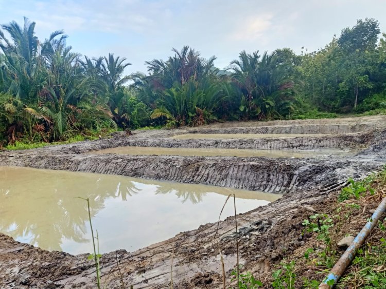 Dorong Ketahanan Pangan, Pemdes Silui Tuntaskan Pembuatan Empang Untuk Budidaya Ikan Air Tawar