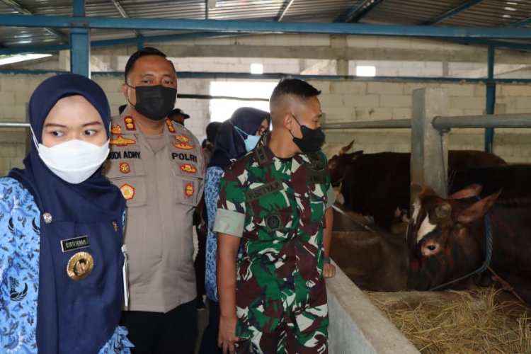Kapolres Demak Bersama Forkopimda Melakukan Cek Peternakan Sapi dan Kerbau