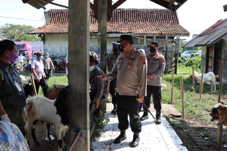 Kembali Blusukan Kandang dan Pasar Hewan, Kapolres Demak Cek Hewan Ternak