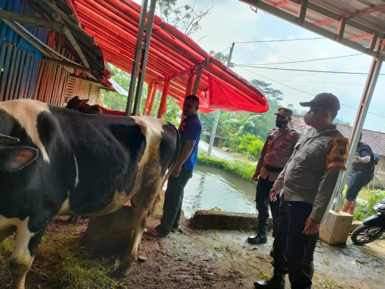 Kapolres Banjarnegara Cek Sapi Di Beberapa Tempat Dan Himbau Masyarakat Waspadai Virus PMK