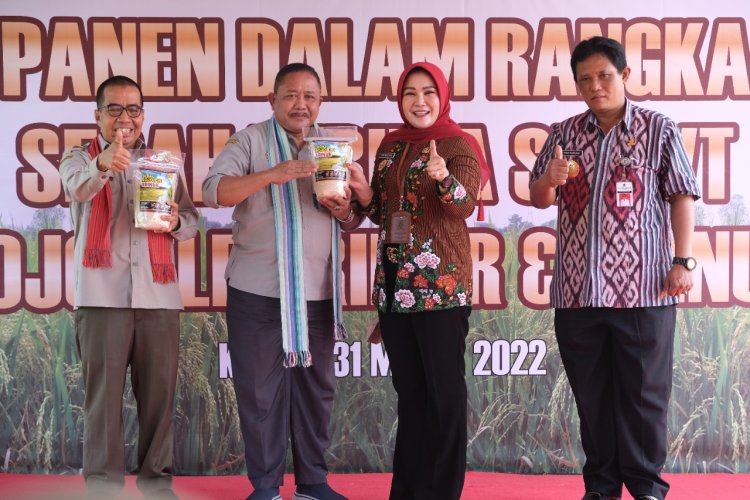 Rojolele Srinar-Srinuk Klaten Kantongi Hak Pengembangan Ekslusif