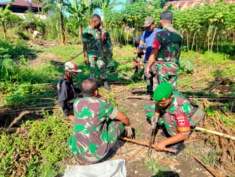Dukung Swasembada Pangan Dimasa Pandemi Covid-19 Babinsa Ceper Datangi Petani Singkong
