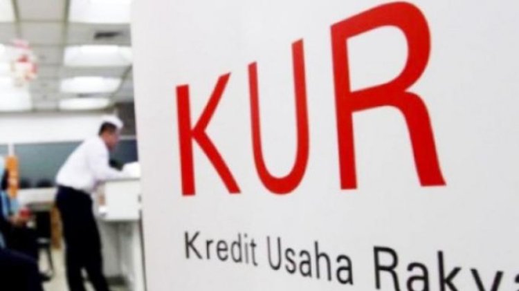 Diduga Oknum Aparatur Pemerintahan Desa Menjadi Calo Debitur KUR BRI Unit Tanjung Bintang