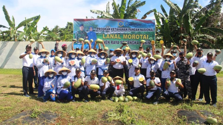Lanal Morotai  Gelar Panen Raya Buah Semangka