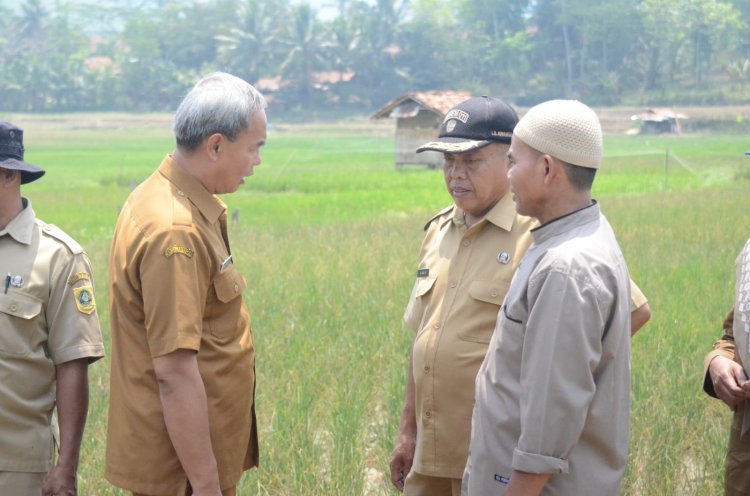 Pemkab Bogor Tangani Dampak Kekeringan Sektor Pertanian Melalui Pemberian AUTP