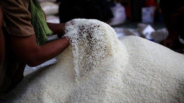 Harga Beras Naik, Pemerintah Sarankan Masyarakat Makan Sagu, Jagung, Talas, Kentang, Ubi Jalar dan Sukun