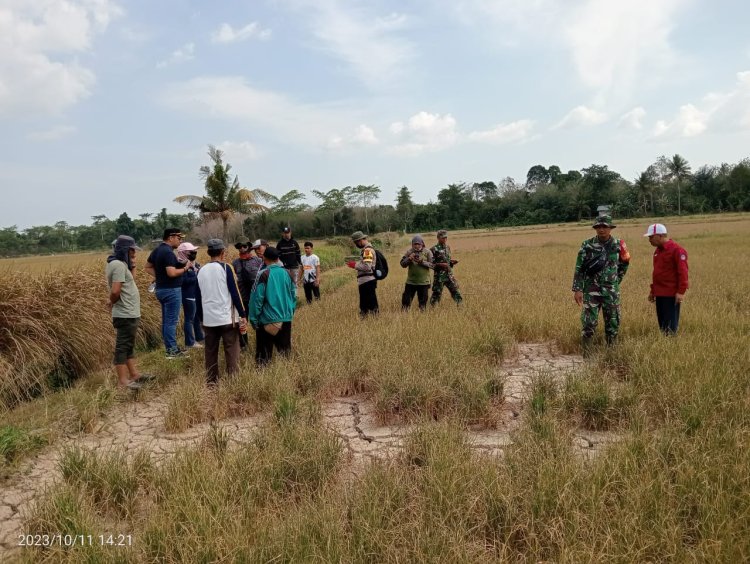 Ketua Tim Satgasus Koltim Tinjau Langsung Tanah Sengketa Eks HGU PT. SIL Di Lambandia