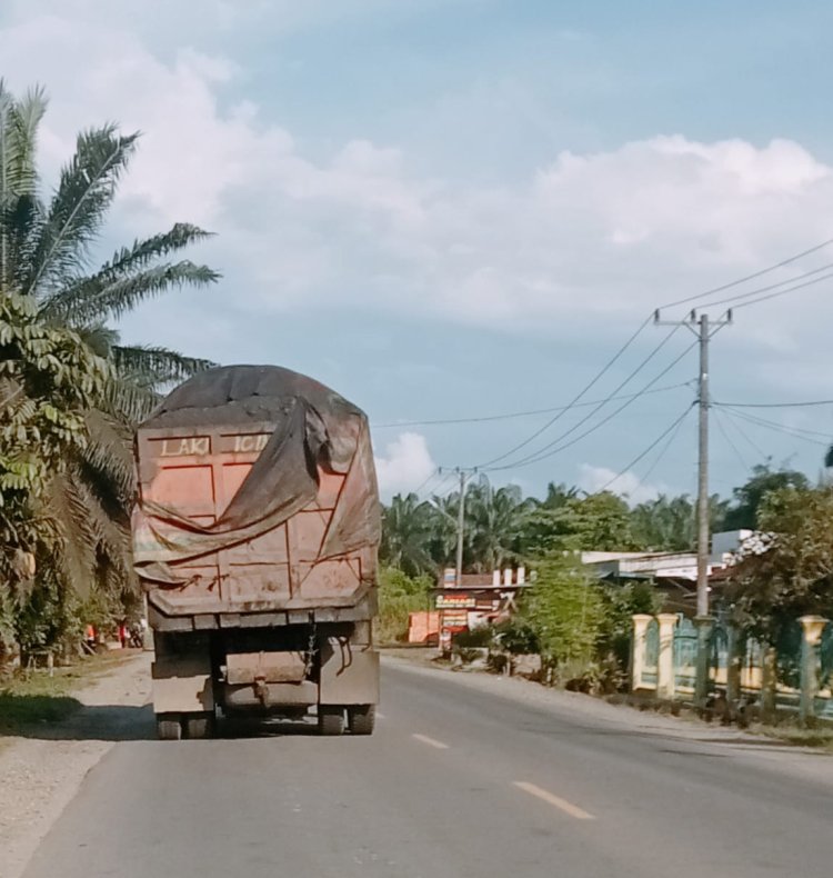 PT BPP Terancam Kena Sanksi Akibat Langgar SE Gubernur Jambi Terkait Operasional Batu-Bara