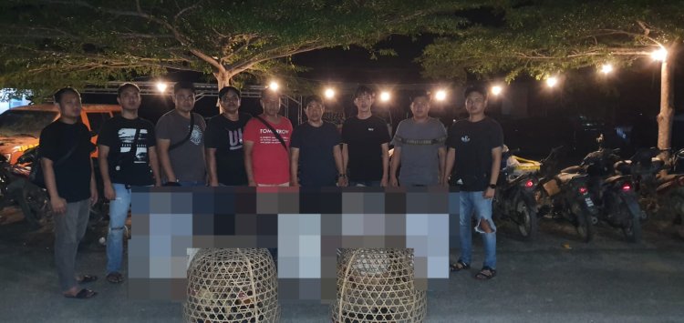Polres Way Kanan Gerebek Judi Sabung Ayam di Baradatu