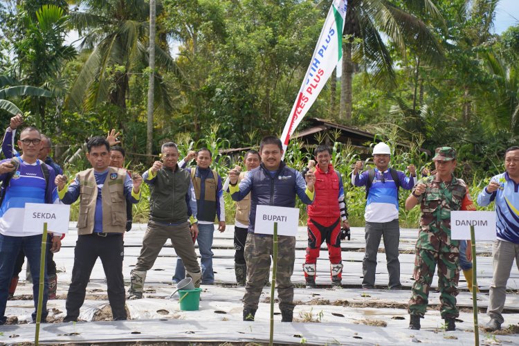 Atasi Laju Inflasi Daerah, Bupati Kolaka Timur Pimpin Penanaman Cabai Di Mowewe