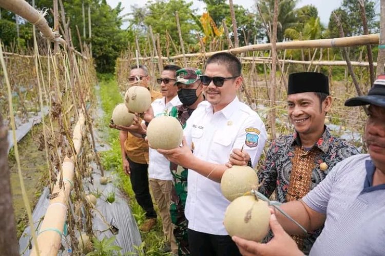 Hadiri Panen Buah Melon Di Loea, Bupati Koltim Sampaikan Hal Ini Ke Petani