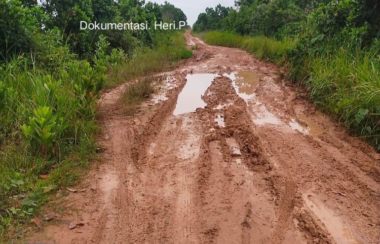 Warga Menjerit Jalan Bak Kubangan Lumpur