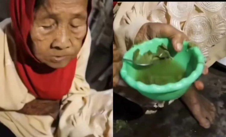 KELAPARAN SEBATANG KARA NENEK MURSI DI LAMPUNG DAN HANYA MAKAN DAUN SINGKONG KARENA BERAS MAHAL