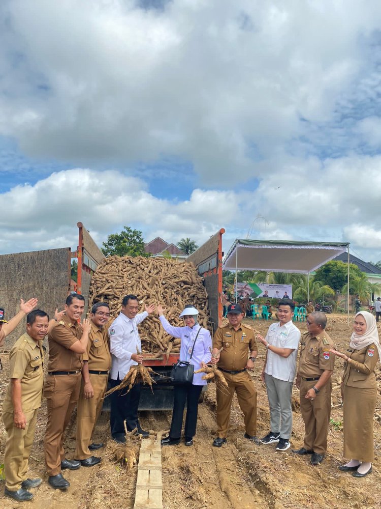 Asisten 1 Drs Indra Kesuma Wijaya, MM ., Pimpin Panen Perdana kerja Sama Pemkab Mesuji dan PT.Umas jaya agrotama di Buko poso