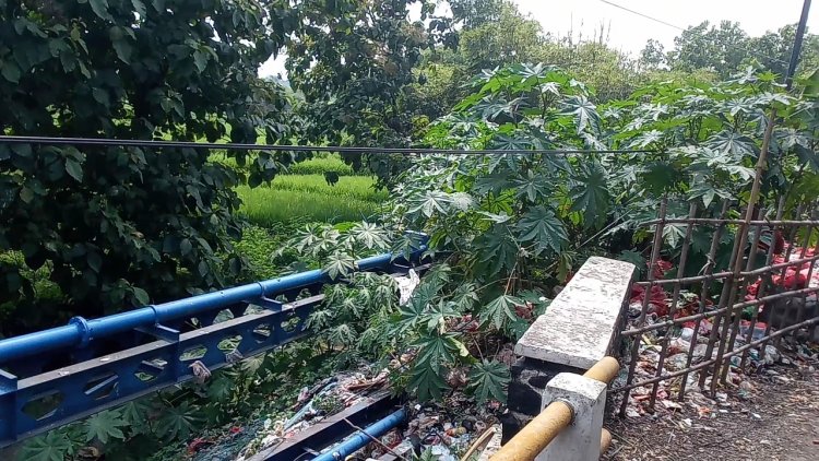 SABILILLAH : PEMKAB BOGOR PERLU TINGKATKAN ANGGARAN BIAYA PROSES TIPIRING