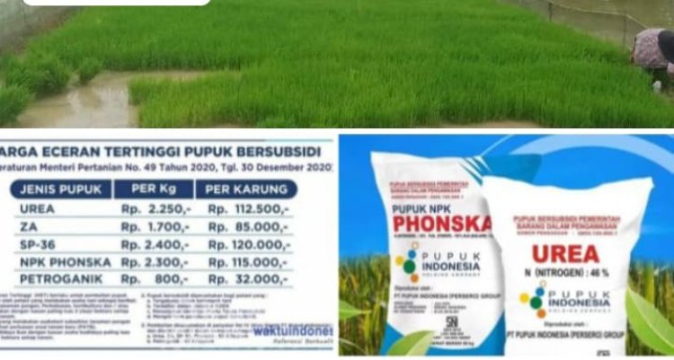 Diduga Kios Pengecer Pupuk Subsidi Didesa Karya Bakti Kecamatan Semendawai Timur Jual Pupuk subsidi Diatas Harga Eceran Tertinggi HET