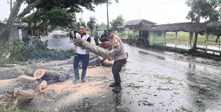 Respon Cepat, Kapolsek Polsek Pantee Bidari Bersama Anggota dan Warga Bersihkan Pohon Tumbang
