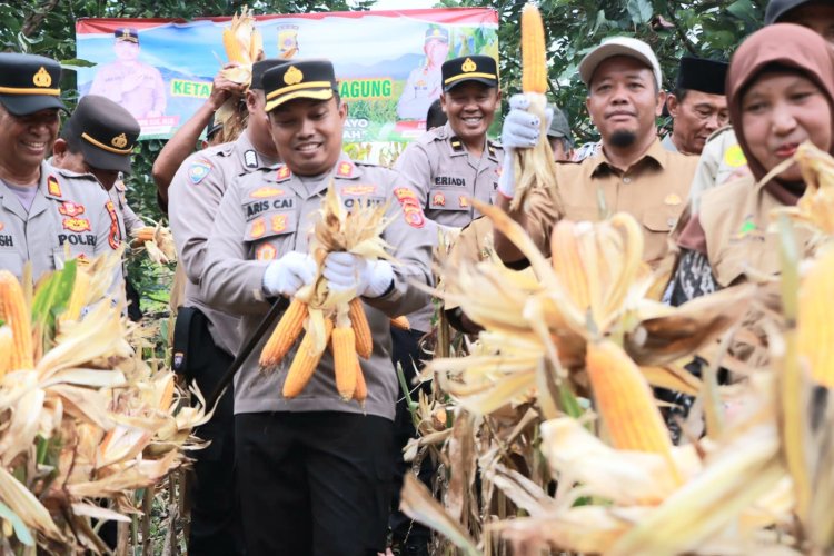 Kapolres Bener Meriah Hadiri Panen Raya Jagung Dukung Ketahanan Pangan Nasional