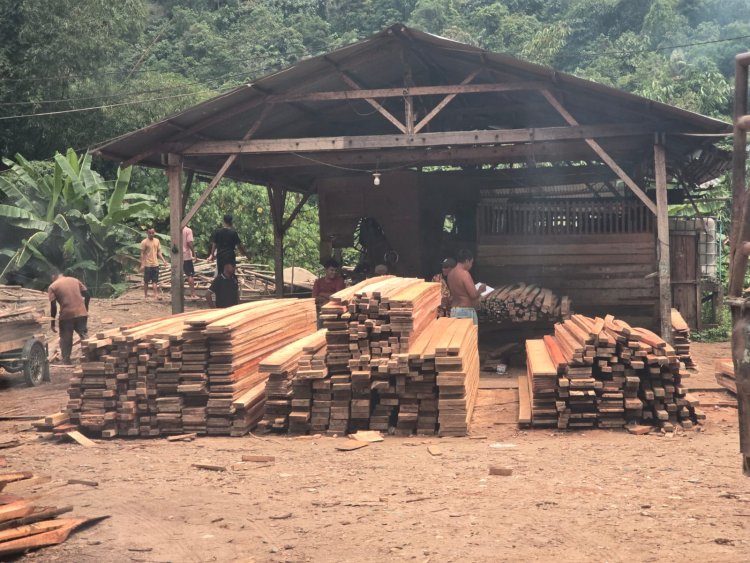 Sawmill Pengolah Kayu Ilegal Milik "Udin" Bebas Beraktivitas di Gampong Duren Lapan, Aceh Tamiang
