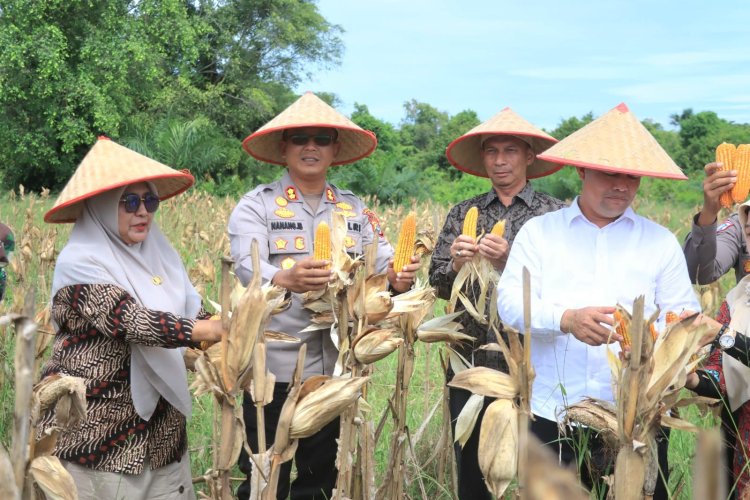 Polres Aceh Utara Ikut Panen Raya Jagung Kuartal II Tahun 2025